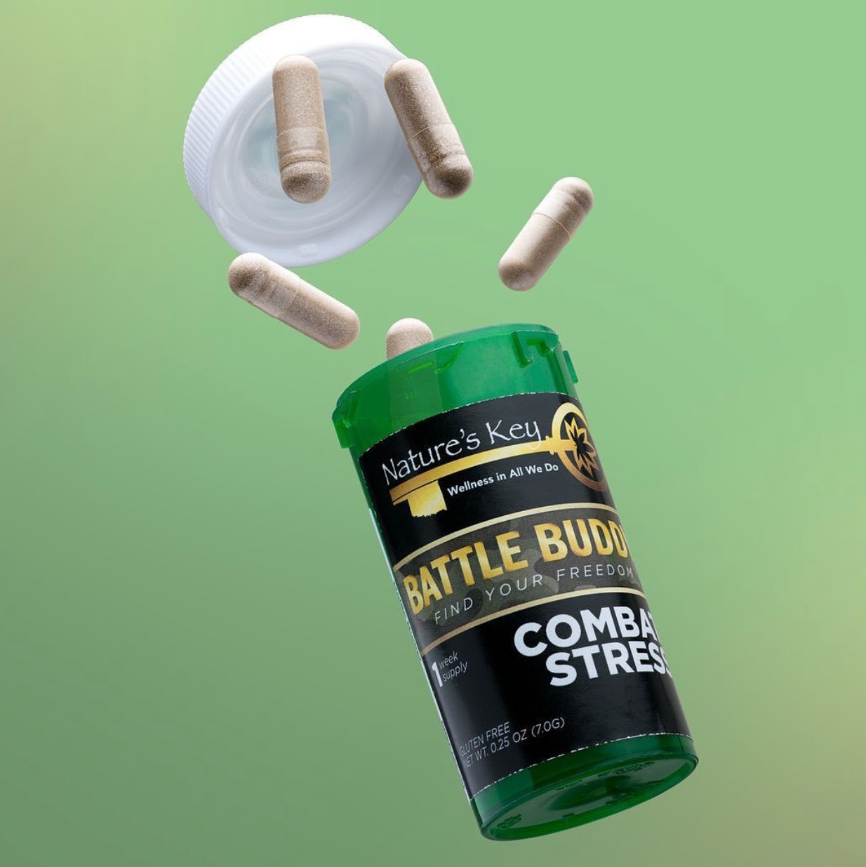 Battle Buddy Battle Buddy Nation